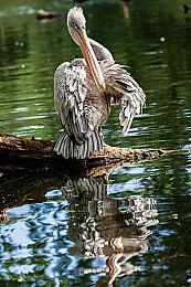 《使命召唤：现代战争3》免费体验即将开启 截至2月12日